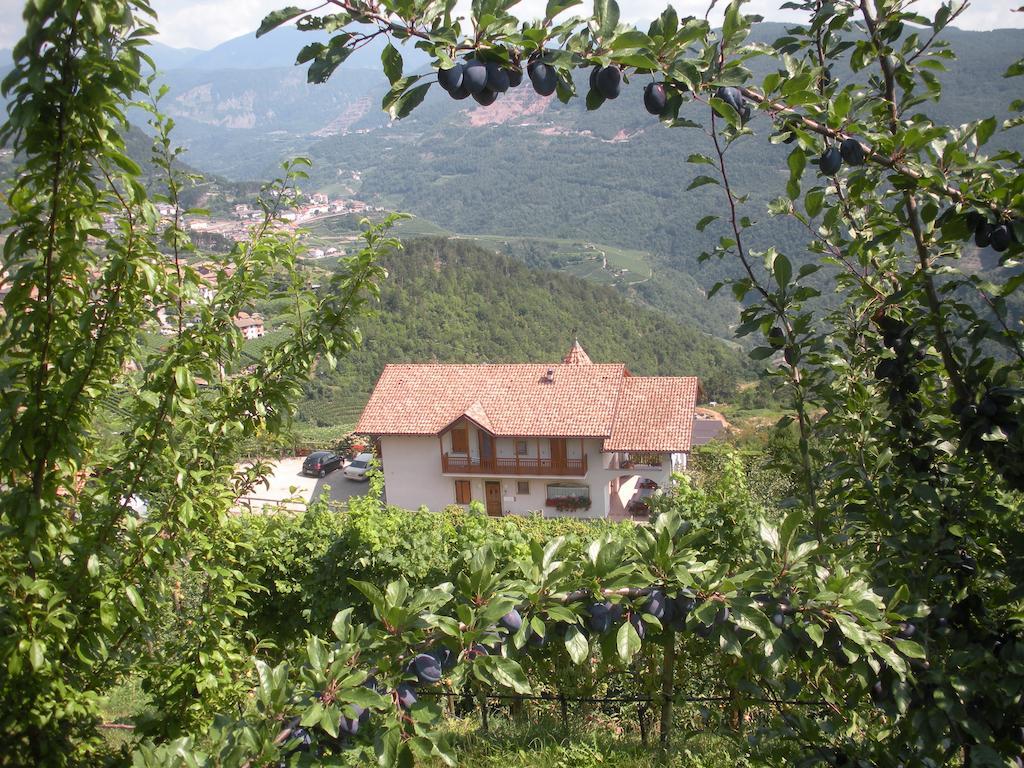 Agritur Maso Pomarolli Villa Giovo Dış mekan fotoğraf
